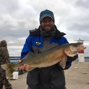 Meet your Posher, Benjamin